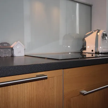 Wyspianski Apartment Poznan
